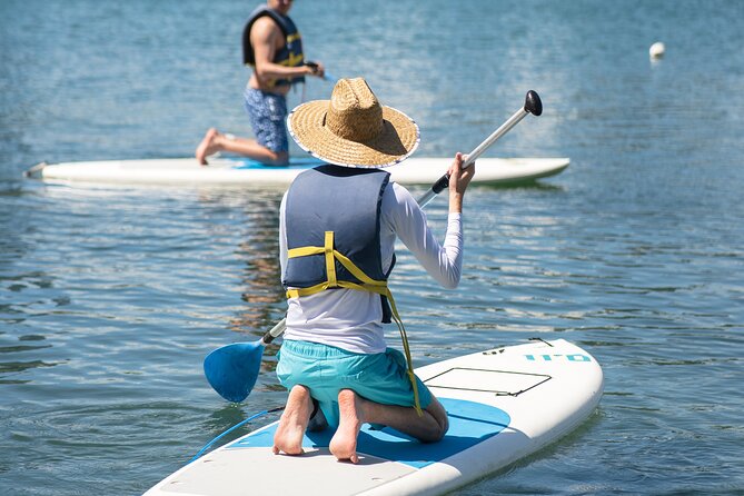 1-Hour Condado Lagoon Paddleboard Rental in San Juan - A quiet way to see Condado Lagoon