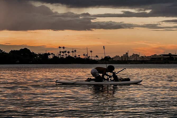1-Hour Condado Lagoon Paddleboard Rental in San Juan - Why beginners may enjoy the calm water