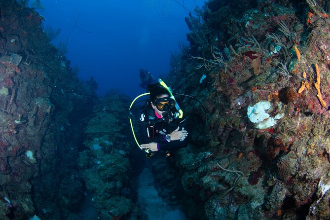 2-Tank Scuba Boat Trip in World-Class Sites @ Copamarina - Why The Epicenter makes a strong first stop
