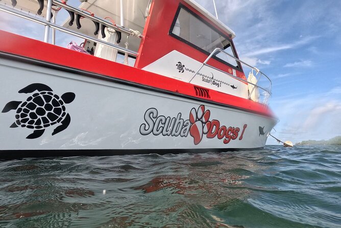 2-Tank Scuba Boat Trip in World-Class Sites @ Copamarina - What the $235 price really covers