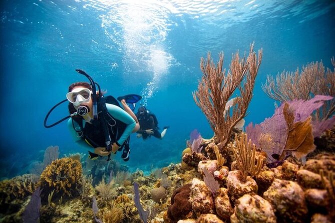 2-Tank Scuba Boat Trip in World-Class Sites @ Copamarina - Certification and physical demands