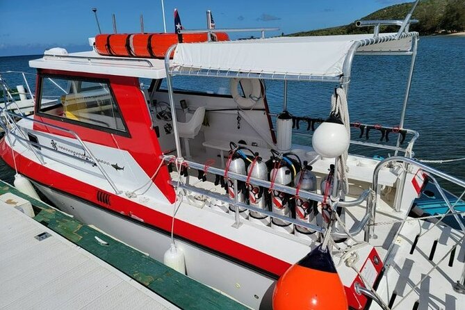 2-Tank Scuba Boat Trip in World-Class Sites @ Copamarina - Weather and sea conditions matter