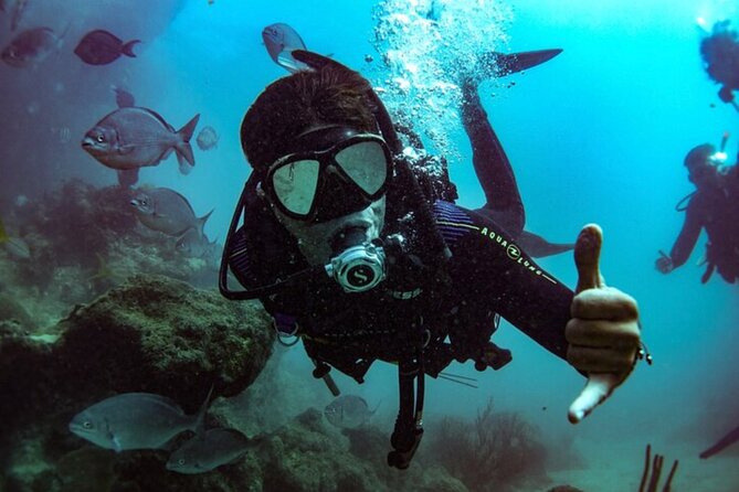 2-Tank Scuba Boat Trip in World-Class Sites @ Copamarina - Getting to Copamarina without a surprise