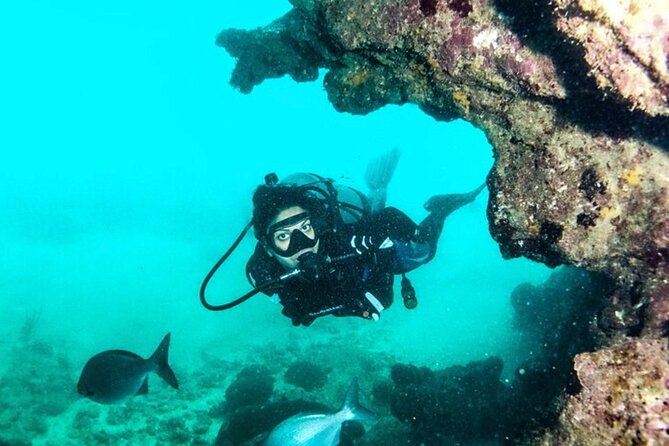 2-Tank Scuba Boat Trip in World-Class Sites @ Copamarina - A five-hour morning from Copamarina