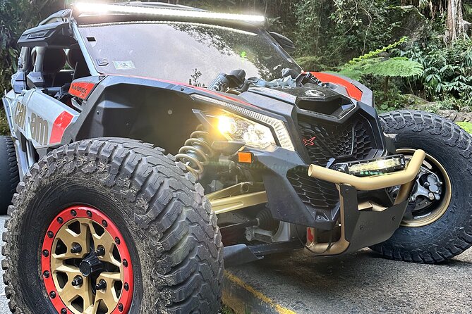 3-Hour Private UTV Tour in San Juan - Sharing one Can-Am with up to three people