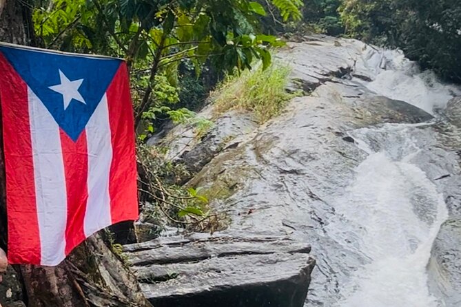 3 Tours in 1 Day: Old San Juan, Rainforest, Beach with Transport - One day, three very different Puerto Rico experiences