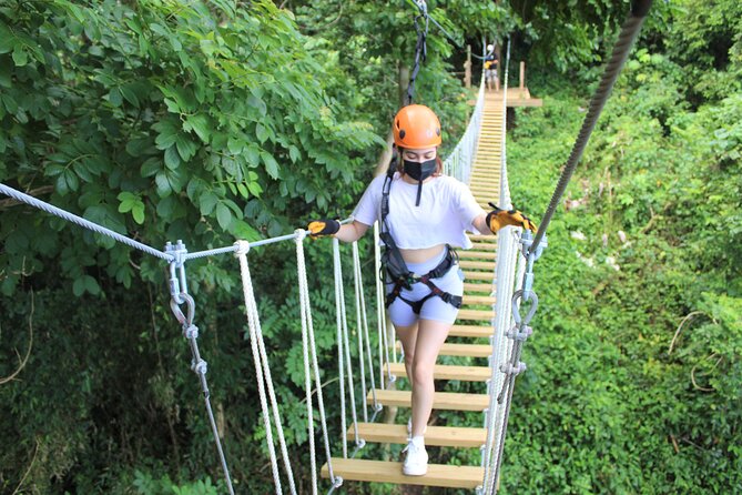 Adventure Trail Tour in the foothills of the National Rainforest - What happens between the trees