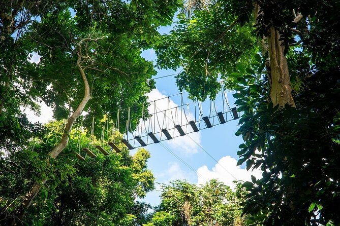 Adventure Trail Tour in the foothills of the National Rainforest - Clothing makes a real difference