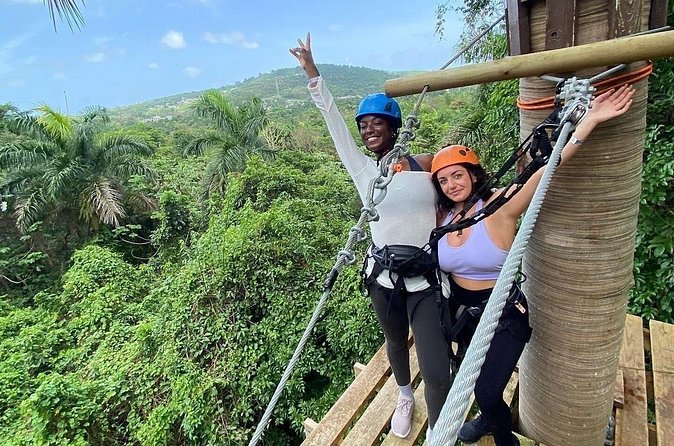 Adventure Trail Tour in the foothills of the National Rainforest - Booking, weather and cancellation rules