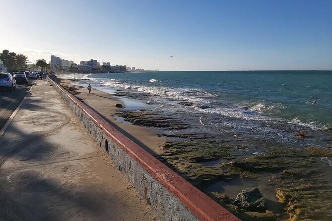 Airport Transfer to Cruise Ships, Hotels, Airbnb in San Juan - Cruise terminal transfers when timing matters