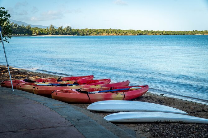 All-Day Paddleboard Rental – Fajardo, Puerto Rico - What this Fajardo paddleboard rental is really like