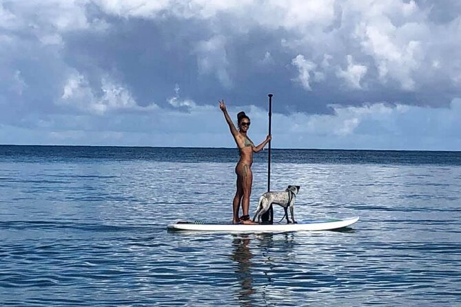All-Day Paddleboard Rental – Fajardo, Puerto Rico - Mangroves, wildlife, and the reserve setting