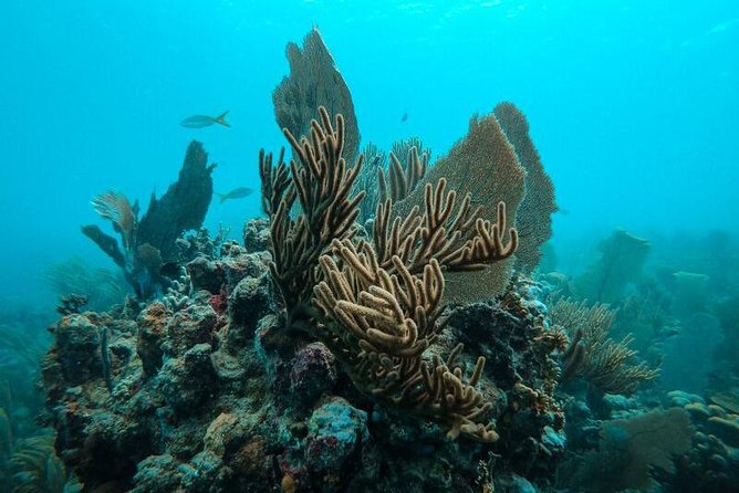 All Inclusive Beach and Snorkel Boat Tour to Icacos Island - What to pack, and what to leave behind