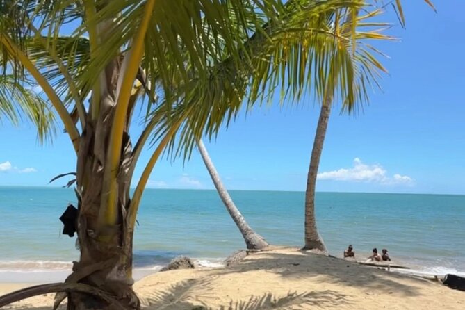 Añasco-Bunny Fever Adventure Experience - The off-road ride to La Playa
