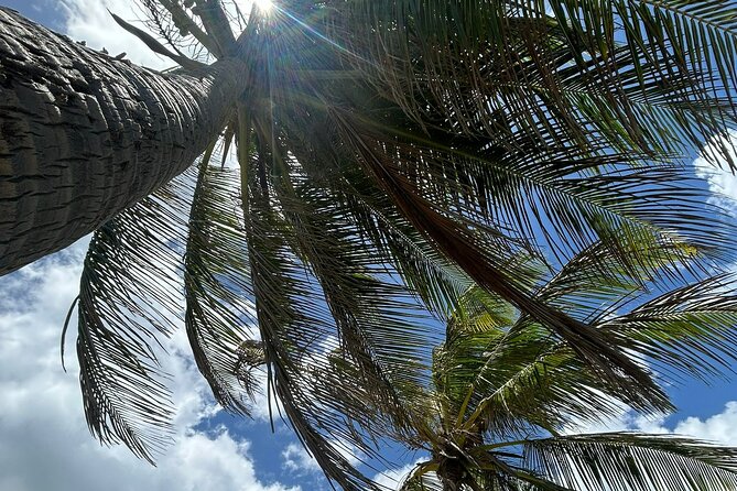 Beach Bliss Yoga in San Juan - Starting the morning at Alambique Beach Lounge