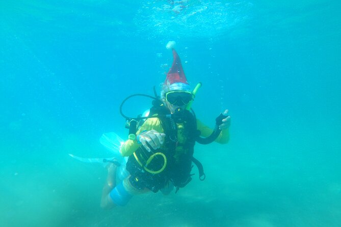 Beginner Scuba Diving Guided Tour - No Experience Required - Why the private format matters