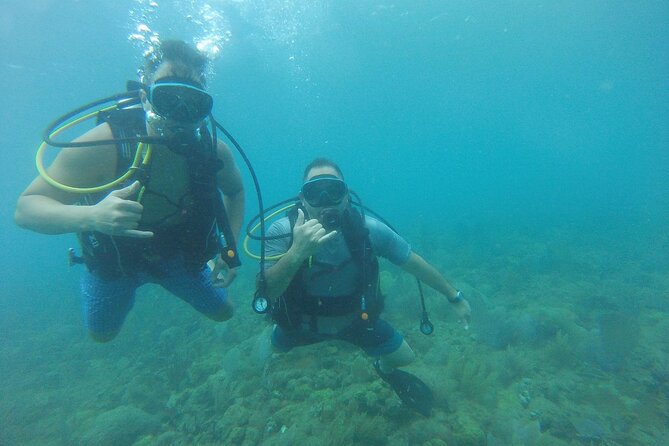 Beginner Scuba Diving Guided Tour - No Experience Required - Free photos and video from underwater