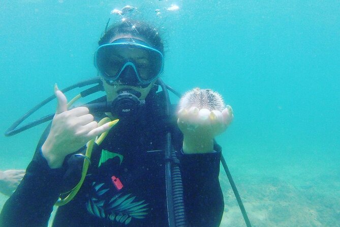 Beginner Scuba Diving Guided Tour - No Experience Required - Weather can change the whole plan