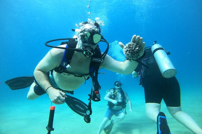 Beginner Scuba Diving Guided Tour - No Experience Required - Entering the water as a first-time scuba student
