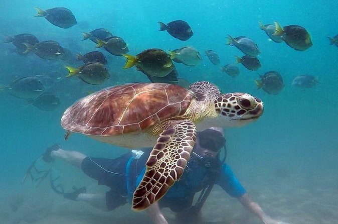 Beginner Scuba Diving with Turtles and Videos, San Juan - Weather and Cancellation Concerns