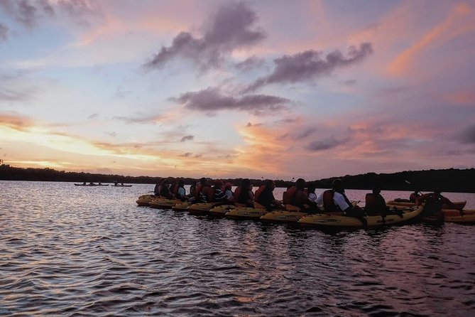 Bio Bay Kayak Tour in Fajardo - How bright will the bioluminescence be?