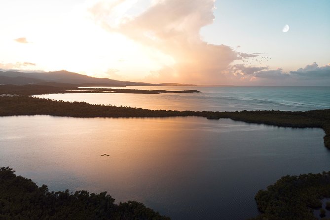 Bio Bay Kayak Tour in Fajardo - Is the $66.90 price a good value?