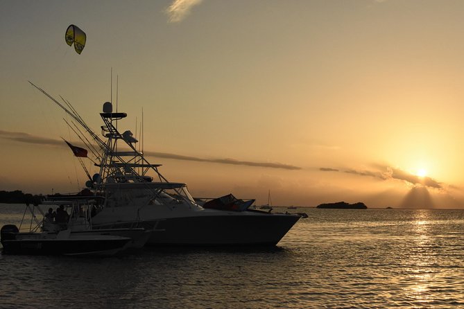 Bio Bay Magic and Rum Tasting Tour from San Juan - Key points before you book
