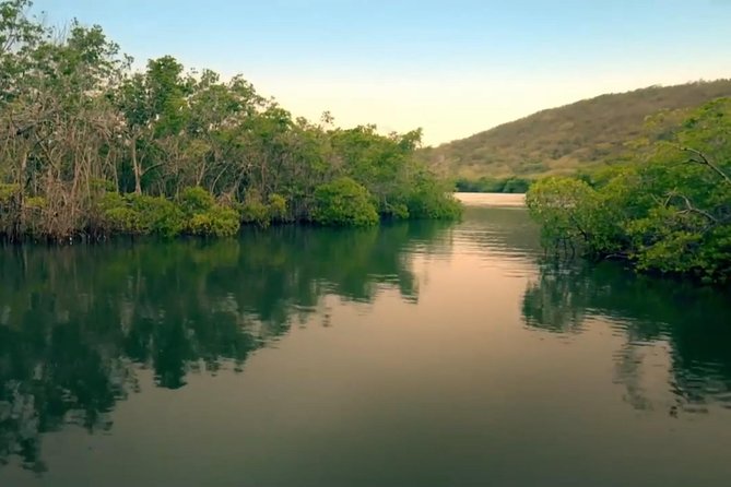 Bio Bay Magic and Rum Tasting Tour from San Juan - Why this day trip feels different from a standard San Juan excursion
