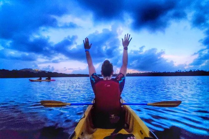 Bio Bay Night Kayak Tour in Fajardo - Key points before you book