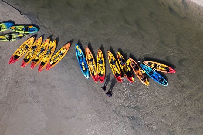 Bio Bay Night Kayak Tour in Fajardo - Why Laguna Grande is worth the paddle