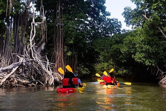 Bio Bay Night Kayak Tour in Fajardo - How much work is the kayaking?