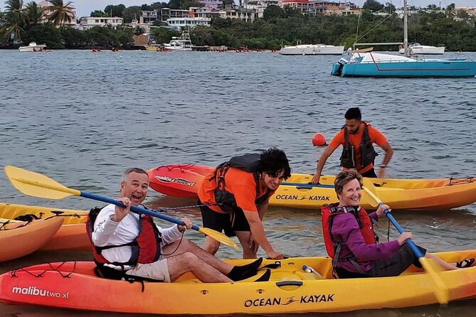 Bio Bay Night Kayak Tour in Fajardo - Who will enjoy this most?