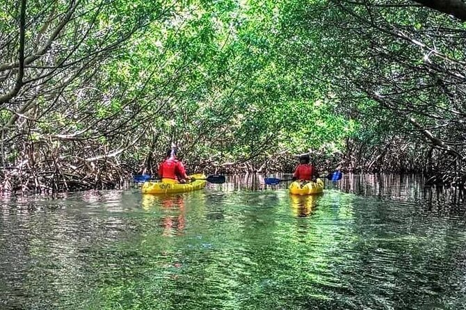 Bio Bay Night Kayak Tour in Fajardo - Six practical ways to prepare