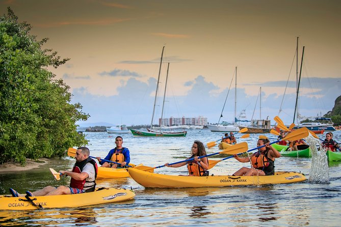 Bio Bay Night Kayak Tour with Transport from San Juan - Leaving San Juan at 4:00 pm