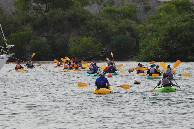 Bio Bay Night Kayak Tour with Transport from San Juan - What to bring, and what to leave behind