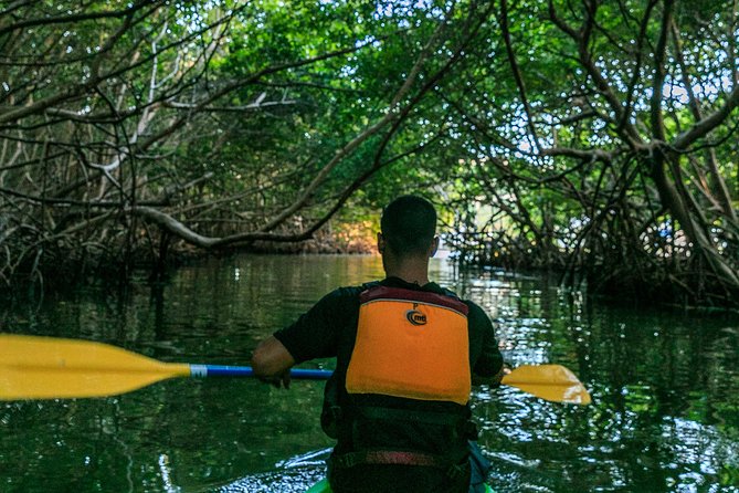 Bio Bay Night Kayaking | Laguna Grande, Fajardo - What the guides add to the night