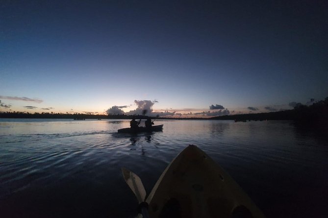 Bio Bay Night Kayaking with Transport from San Juan Area - The dark paddle back through the channel