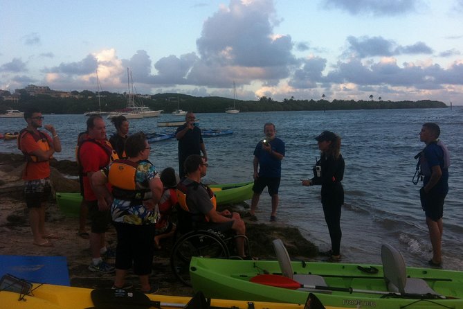 Bio Bay Night Kayaking with Transport from San Juan Area - Guides, safety, and help for beginners