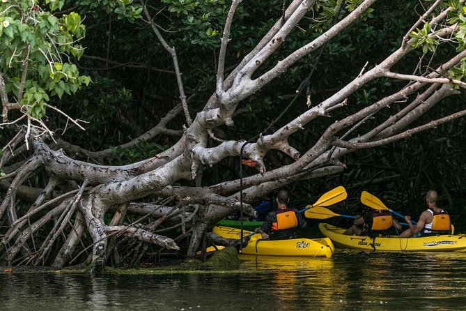 Bio Bay Night Kayaking with Transport from San Juan Area - Mosquitoes, wet clothes, and practical comfort