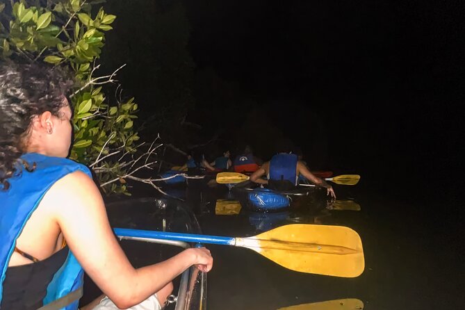 Bio Bay Tour Vieques – Full Clear Canoes Experience - Who will enjoy this tour most