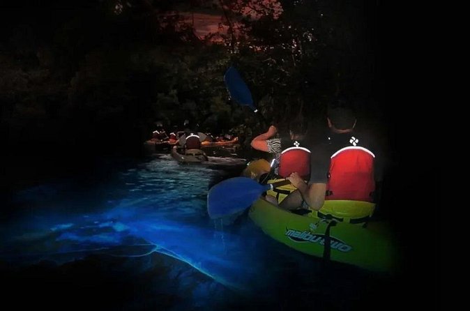 BioBay Sunset Splash-Kayaking Tour - The guide makes the science worthwhile