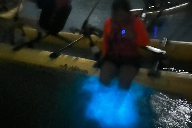 Bioluminescent Bay Chiliboats Waterbike Tour in La Parguera - Why the glowing water is worth the trip to La Parguera