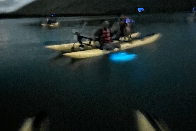 Bioluminescent Bay Chiliboats Waterbike Tour in La Parguera - Seeing the flashes in the bay