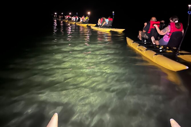 Bioluminescent Bay Chiliboats Waterbike Tour in La Parguera - How the guides shape the outing