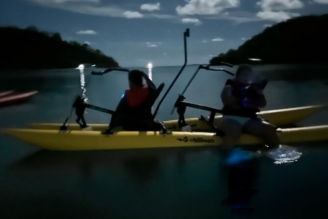 Bioluminescent Bay Chiliboats Waterbike Tour in La Parguera - Comparing the $79 price with the effort involved