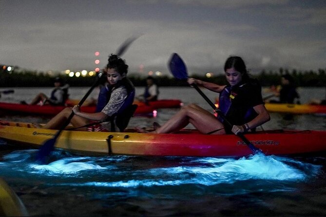 Bioluminescent Bay Kayak Tour in Fajardo Puerto Rico - What the $93 Fajardo kayak tour really offers