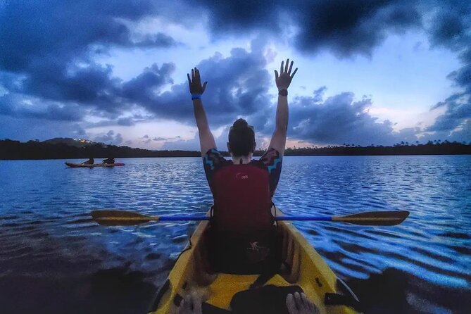 Bioluminescent Bay Kayak Tour in Fajardo Puerto Rico - Laguna Grande and the first flashes of light