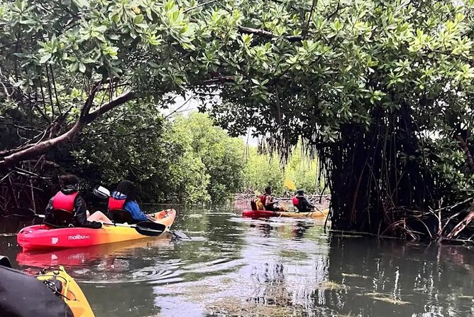Bioluminescent Bay Kayak Tour in Fajardo Puerto Rico - The return through the channel