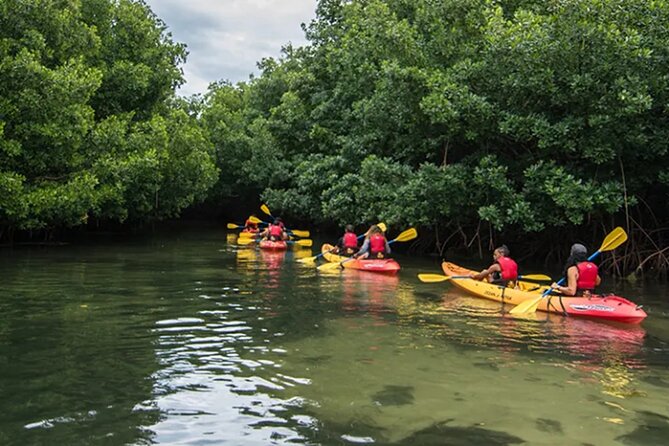 Bioluminescent Bay Kayak Tour in Fajardo Puerto Rico - How to get the best value from the night