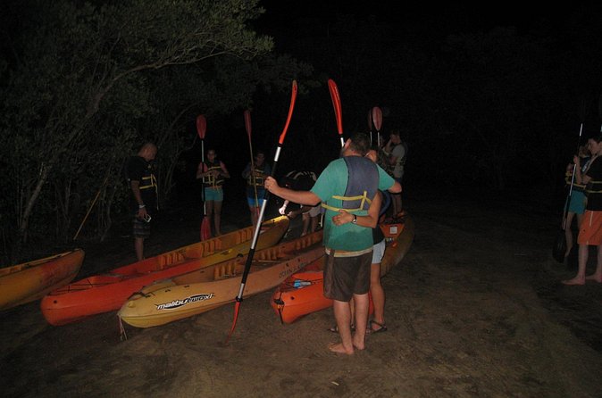 Bioluminescent Bay Kayak Trip from Vieques - About 1.5 hours of paddling in the dark